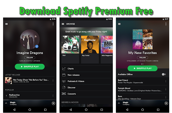 Spotify Premium Aktivieren App
